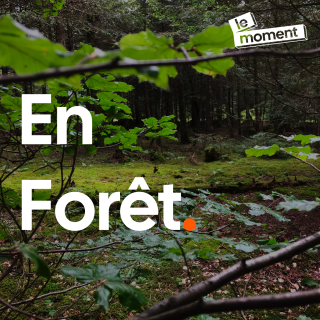 En forêt avec l'association Coeur de Forêt